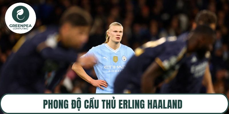 Phong độ cầu thủ Erling Haaland