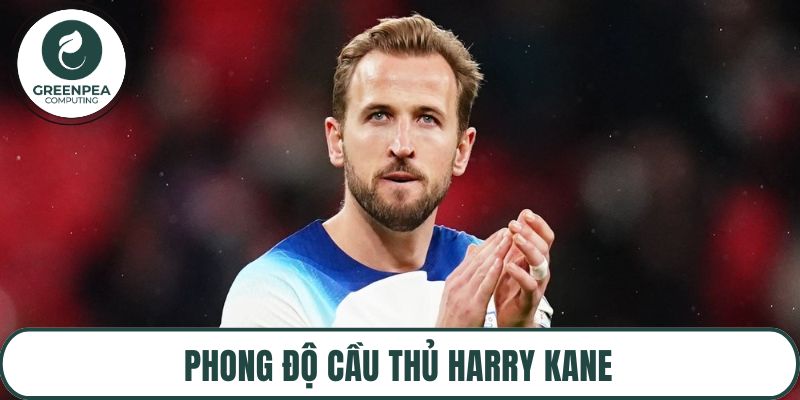 Phong độ cầu thủ Harry Kane