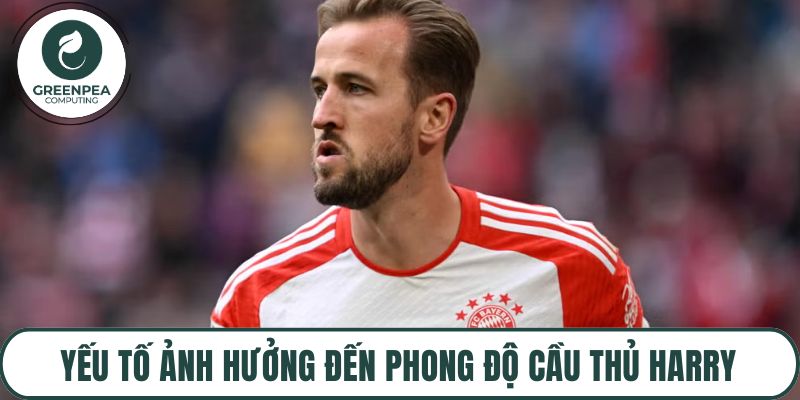 Yếu tố ảnh hưởng đến phong độ cầu thủ Harry
